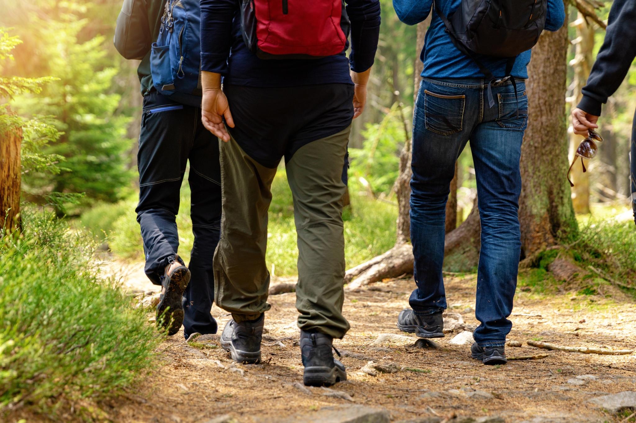 Wandern nach Rentrisch
